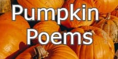 pumpkin poems