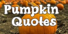 Pumpkin Quotes