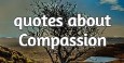 Quotes About Compassion