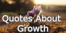 Quotes About Growth