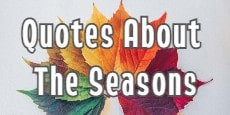 Quotes About The Seasons