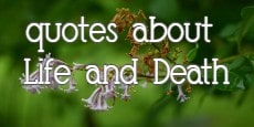 quotes about life and death