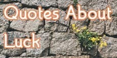 Quotes About Luck