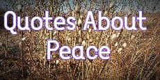 quotes about peace