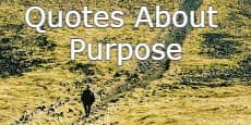 quotes about purpose