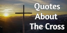 quotes about the cross