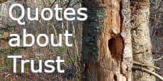 Quotes About Trust