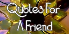 Quotes For A Friend