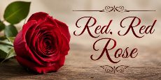Red, Red Rose