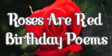 Roses Are Red Birthday Poems