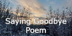 Saying Goodbye Poem