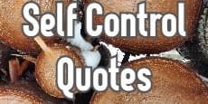 self control quotes