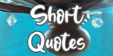 short quotes