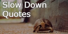 slow down quotes