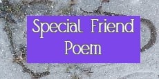 special friend poems