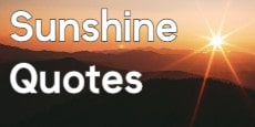 sunshine quotes