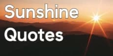 Sunshine Quotes