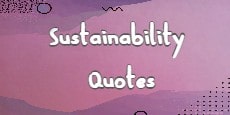 Sustainability Quotes