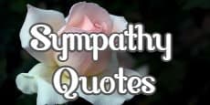 Sympathy Quotes