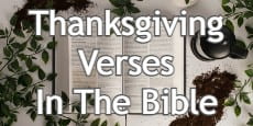 Thanksgiving Verses in The Bible