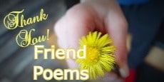 Thank You Friend Poems