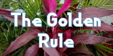 The Golden Rule