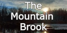 the mountain brook