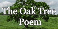 The Oak Tree Poem