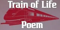 Poems, Quotes, and the Life Lessons They Represent: Verses of Wisdom,  Reflections of Life's Lessons in poems and quotes: Chase, Spencer:  9798856145730: : Books