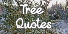 tree quotes