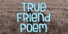 true friend poem