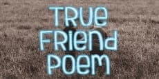 True Friend Poem