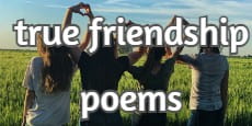 true friendship poem