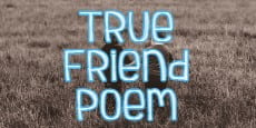 true friendship poems