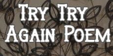 Try, Try Again Poem
