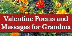 Valentine Poems and Messages for Grandma