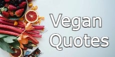 Vegan Quotes