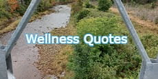 Wellness Quotes