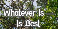 Whatever Is — Is Best