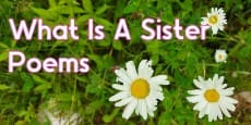 what is a sister poems