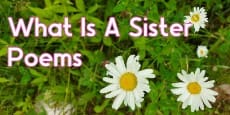 What Is Sister Poems