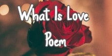 What Is Love Poem