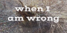 when i am wrong