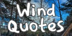 Wind Quotes