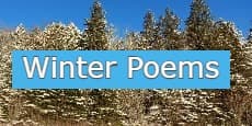 winter poems