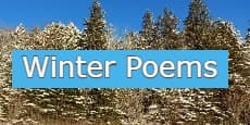 Winter Poems