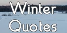 Winter Quotes