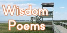 Wisdom Poems 