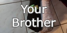 your brother