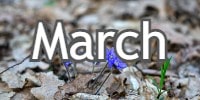 March